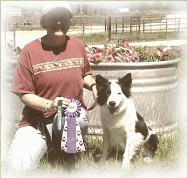 mBarking >> Joni and Edge